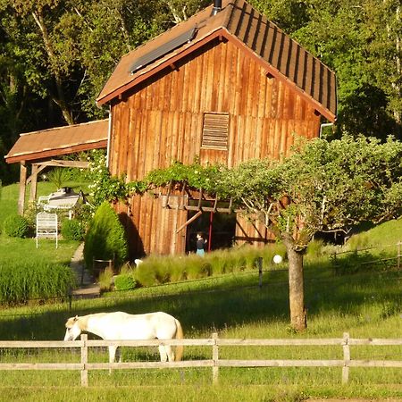 萨尔拉拉卡内达Eco-Hameau Du Sentier Des Sources别墅 外观 照片