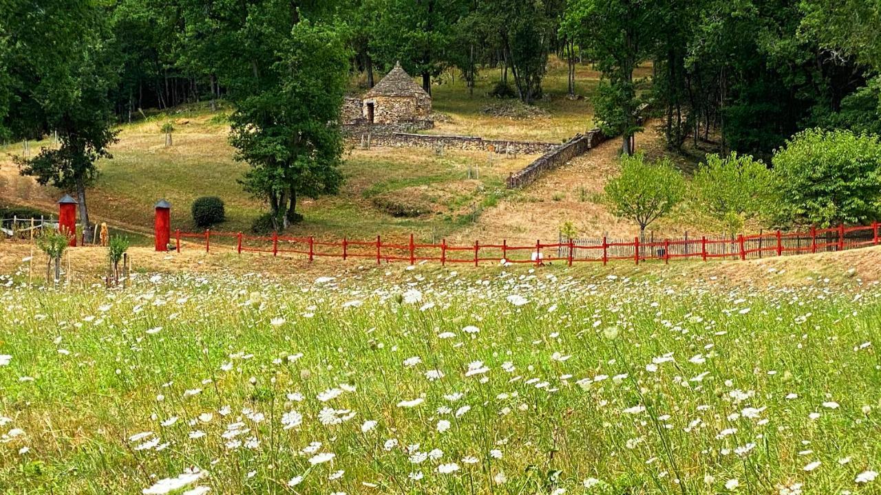 萨尔拉拉卡内达Eco-Hameau Du Sentier Des Sources别墅 外观 照片